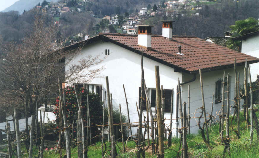 back.jpg (69088 bytes)